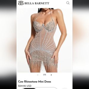 Bella Barnett Sequin Tassel Mini Dress, Sz M, Nude/Silver